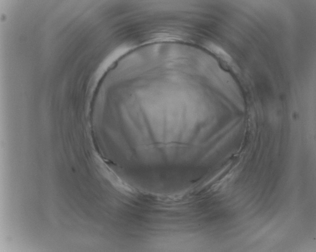 X0000075821427200610061745