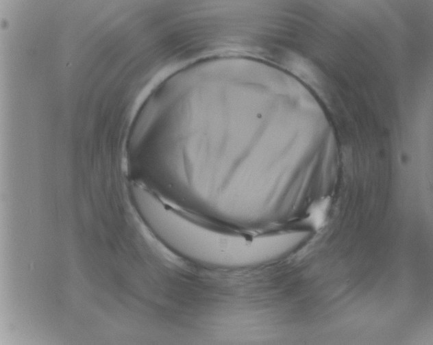 X0000075821428200610061745