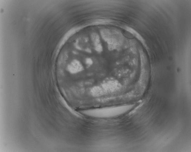 X0000075821429200610061745