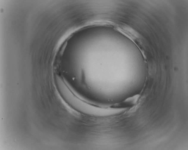 X0000075821430200610061745