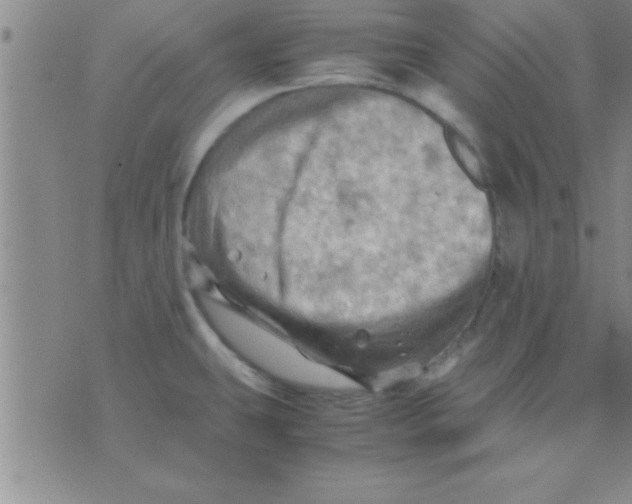 X0000075821431200610061745