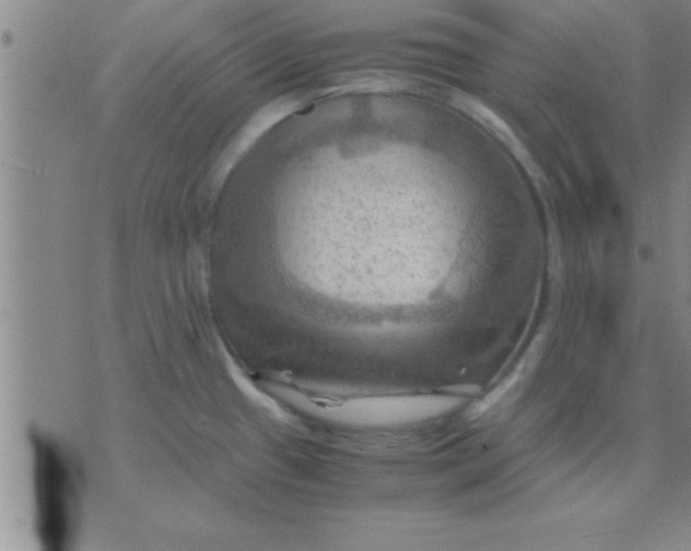 X0000075821433200610061745