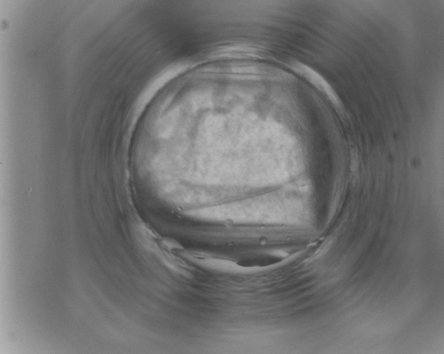 X0000075821435200610061746