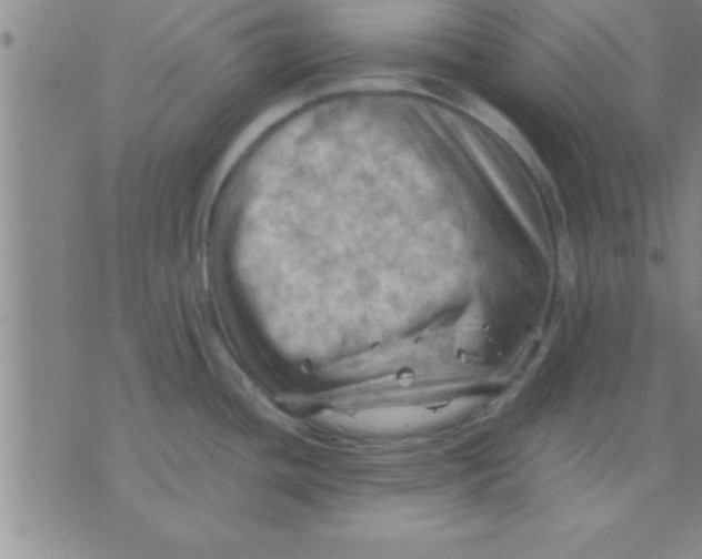 X0000075821436200610061746