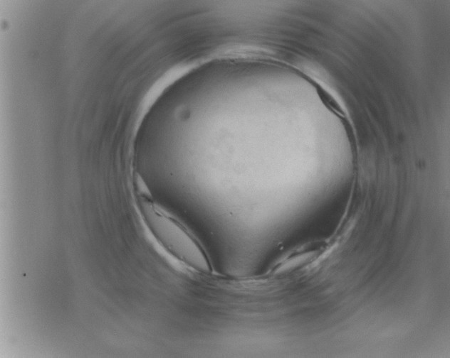 X0000075821437200610061746