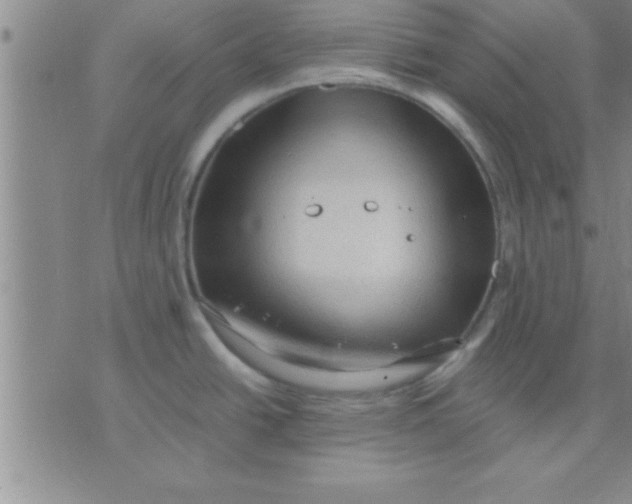 X0000075821438200610061746