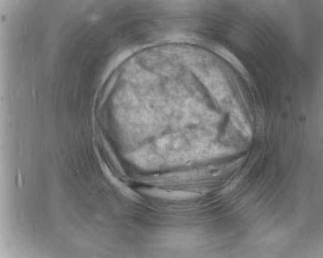 X0000075821439200610061746