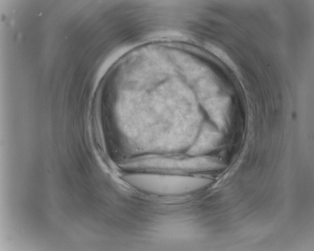 X0000075821440200610061746