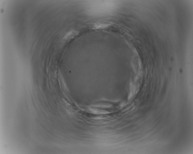 X0000075821441200610061745