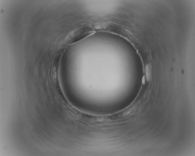 X0000075821443200610061745