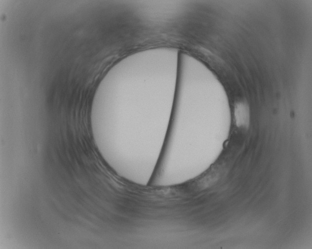 X0000075821444200610061745