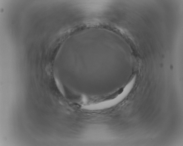 X0000075821445200610061745