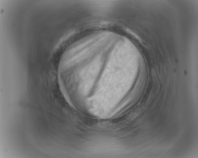 X0000075821447200610061745