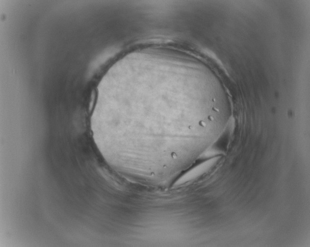 X0000075821448200610061745