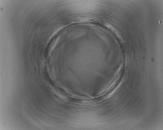 X0000075821449200610061745