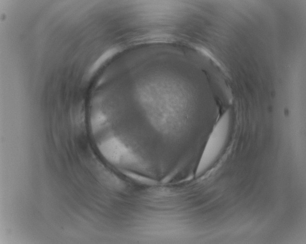 X0000075821450200610061745