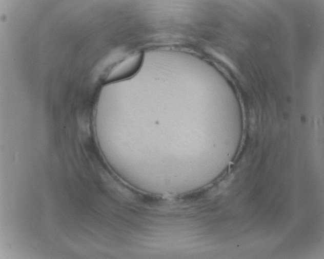 X0000075821451200610061745