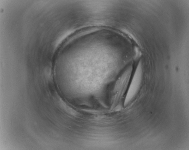 X0000075821452200610061745