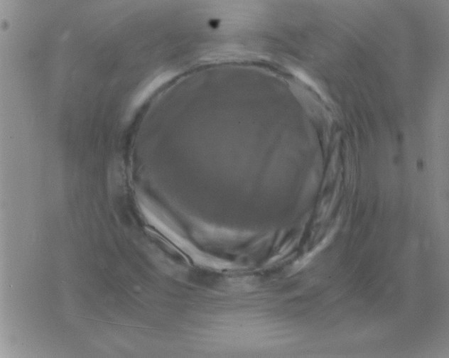 X0000075821453200610061745