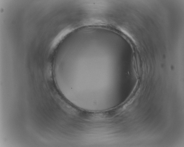 X0000075821455200610061745