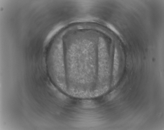 X0000075821456200610061745