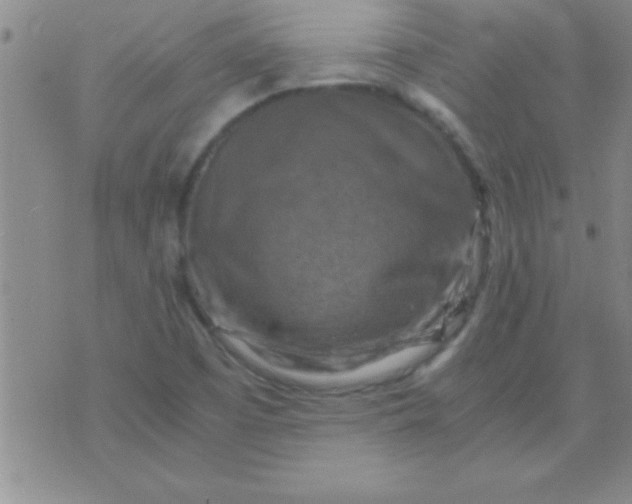 X0000075821457200610061745