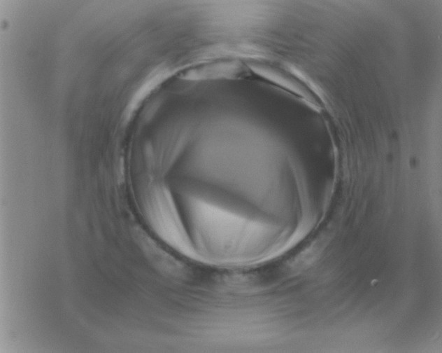 X0000075821459200610061745