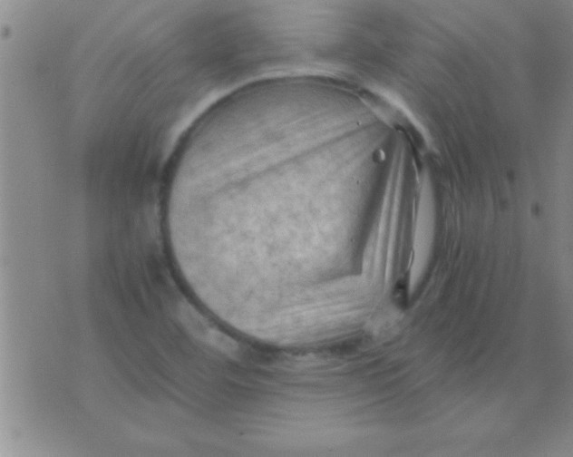 X0000075821460200610061745