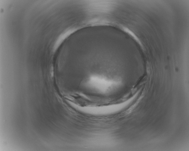 X0000075821461200610061745