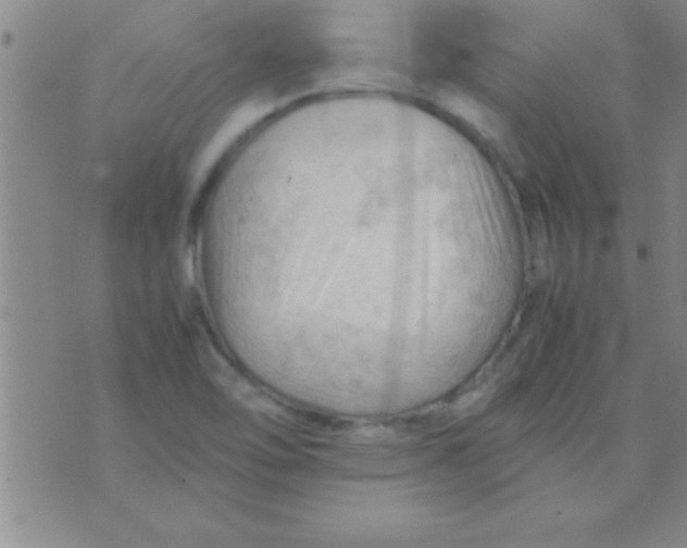 X0000075821462200610061744