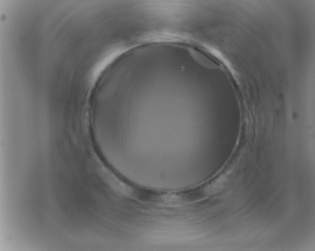 X0000075821463200610061744