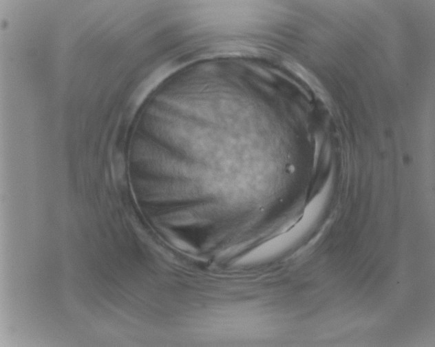 X0000075821465200610061744