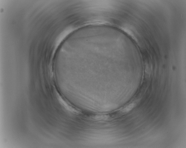 X0000075821466200610061744