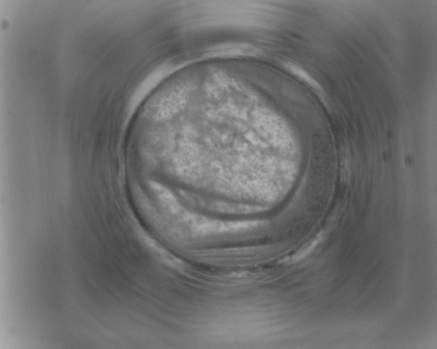 X0000075821467200610061744