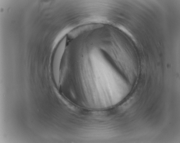 X0000075821469200610061744