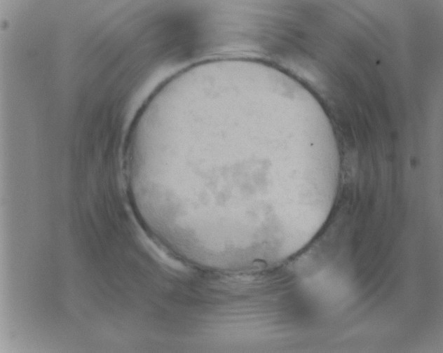 X0000075821470200610061744