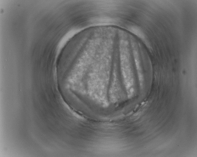 X0000075821472200610061744