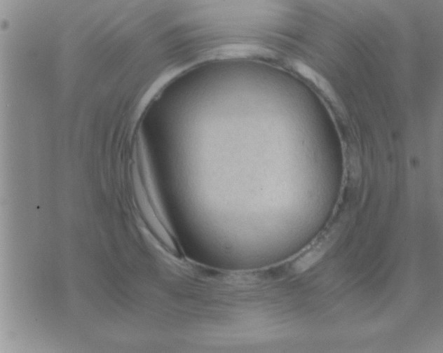 X0000075821473200610061744