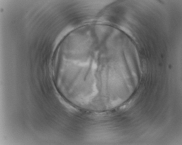 X0000075821474200610061744