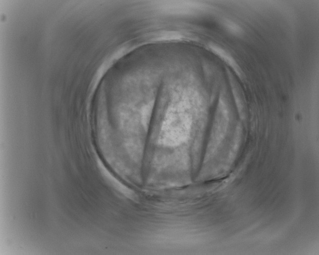 X0000075821475200610061744