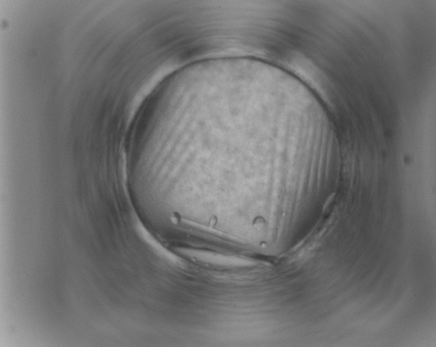 X0000075821476200610061744