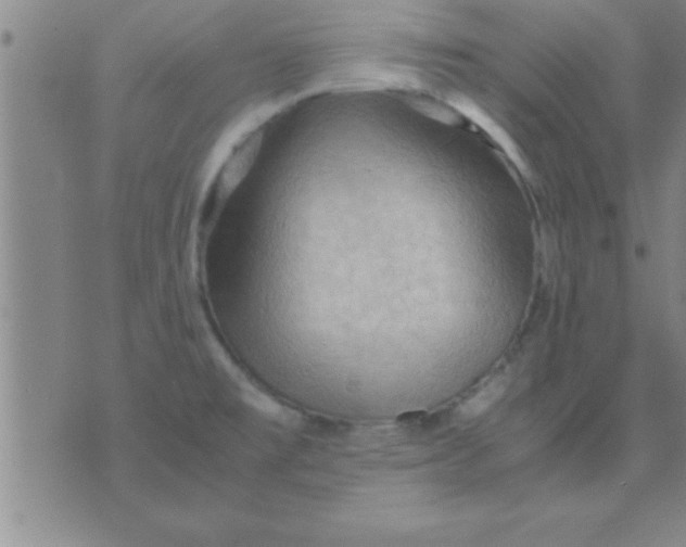 X0000075821477200610061744