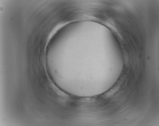 X0000075821478200610061744