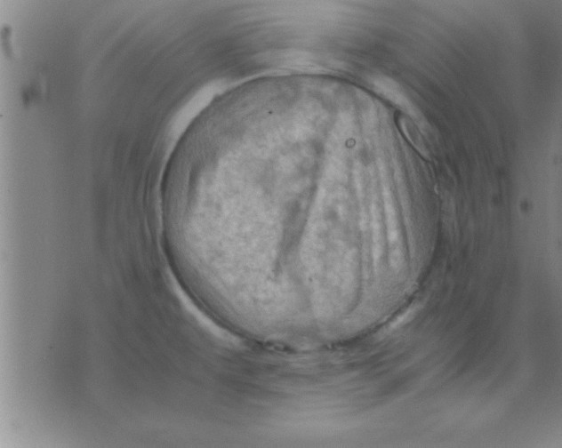 X0000075821479200610061744