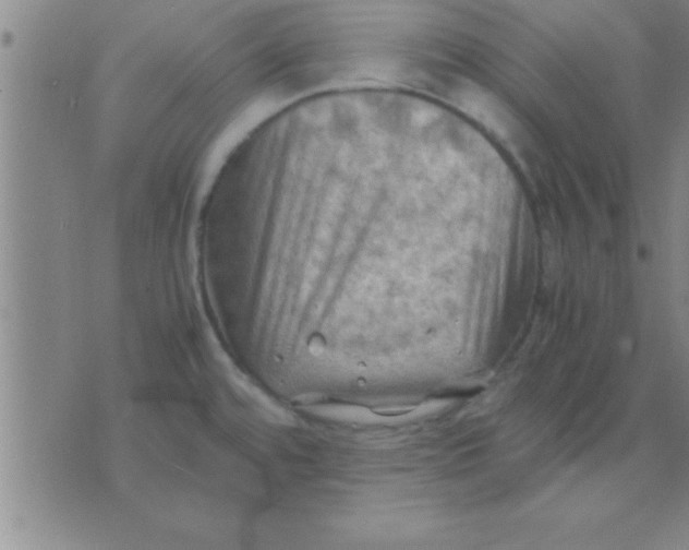 X0000075821480200610061744