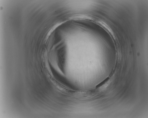 X0000075821481200610061744