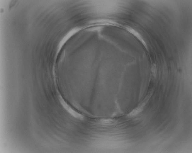 X0000075821482200610061744