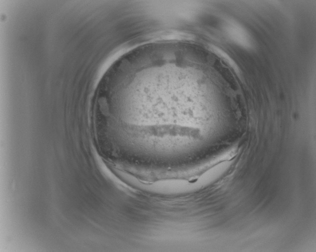 X0000075821483200610061744