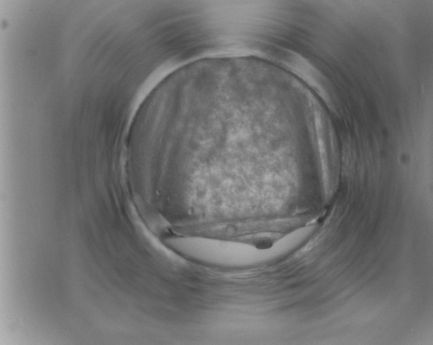 X0000075821484200610061744