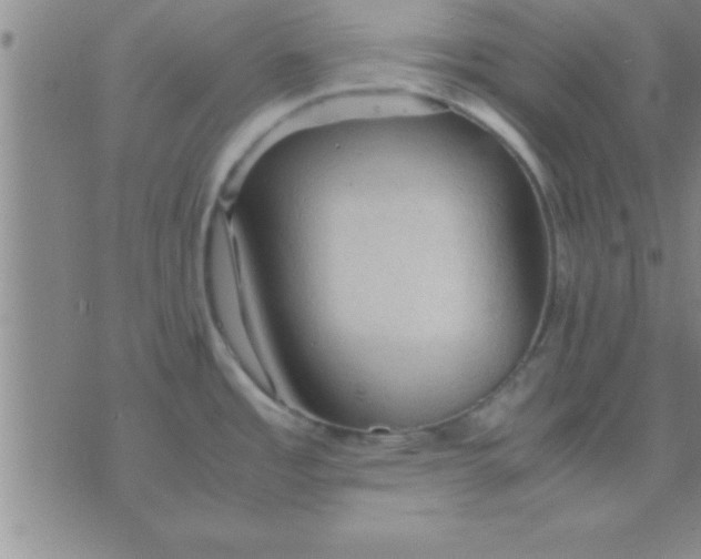 X0000075821485200610061744